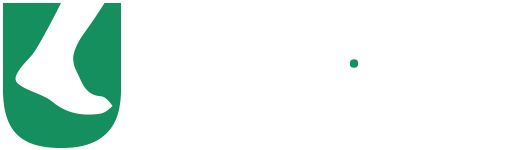 Umbria Tours