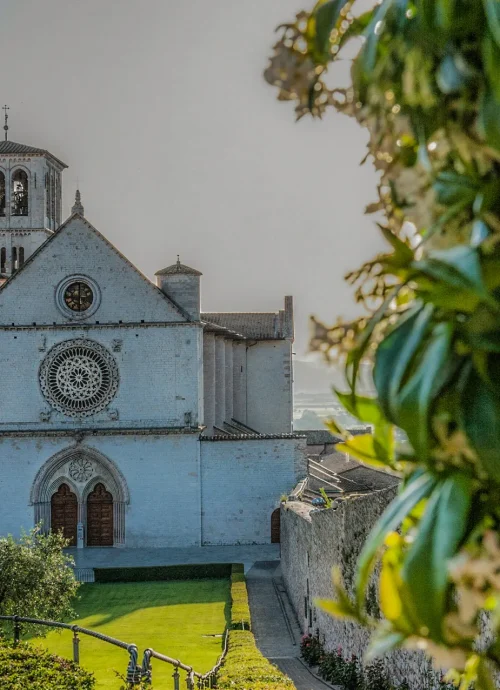 Tour Basilica di San Francesco