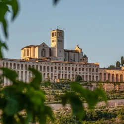 Tour Basilica di San Francesco