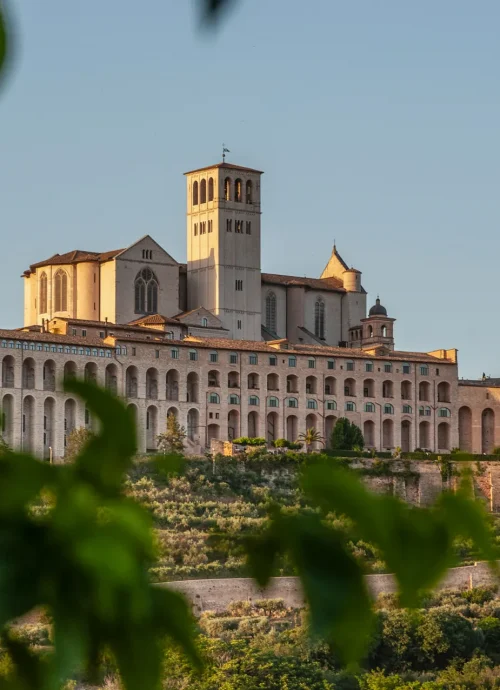 Tour Basilica di San Francesco