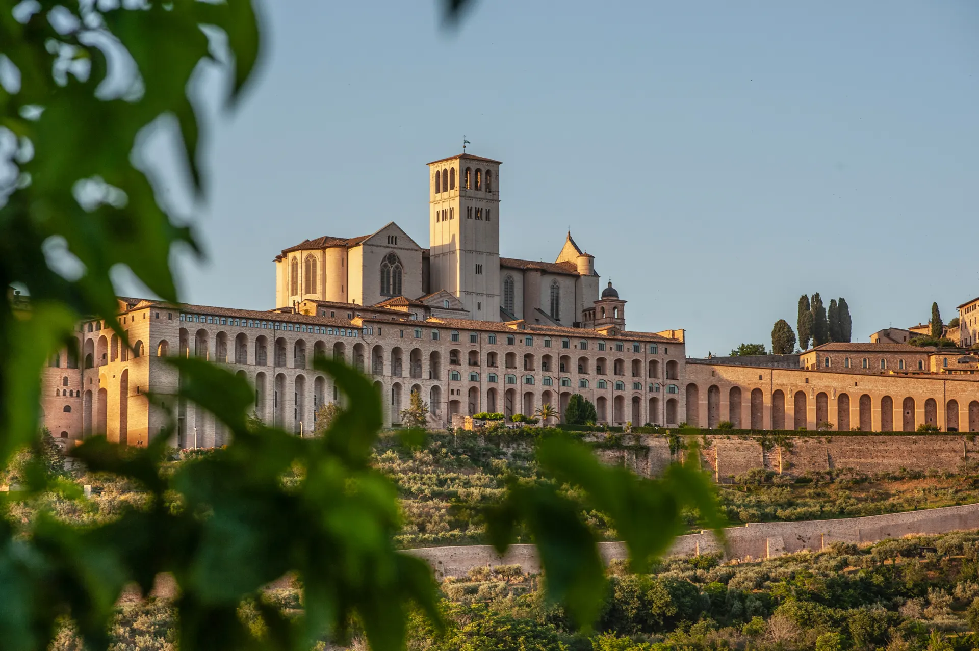 Tour Basilica di San Francesco