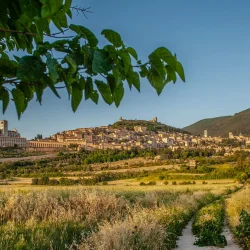 Assisi Basilica di San Francesco