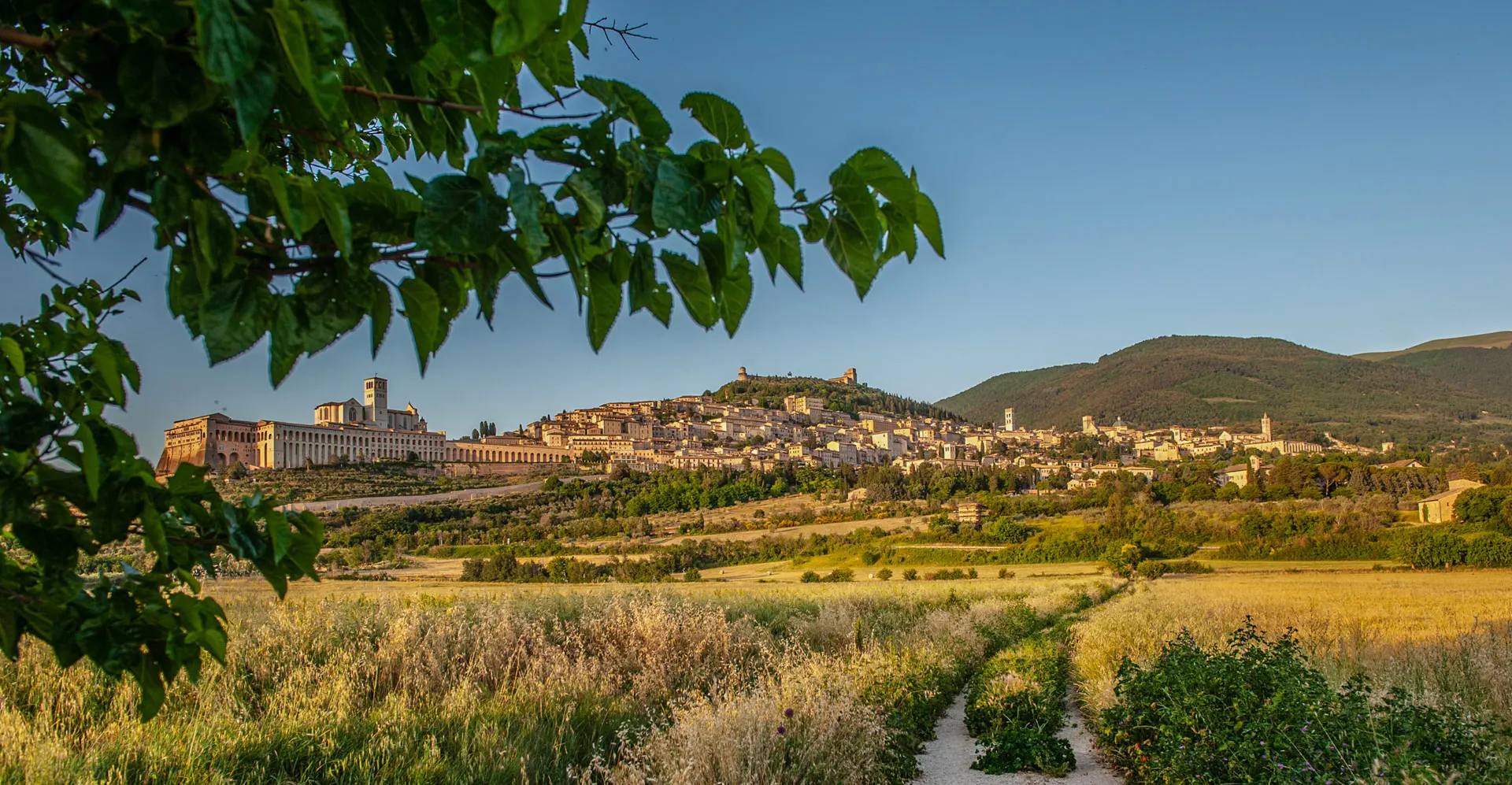 Assisi Basilica di San Francesco