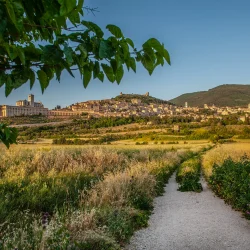 assisi holiday