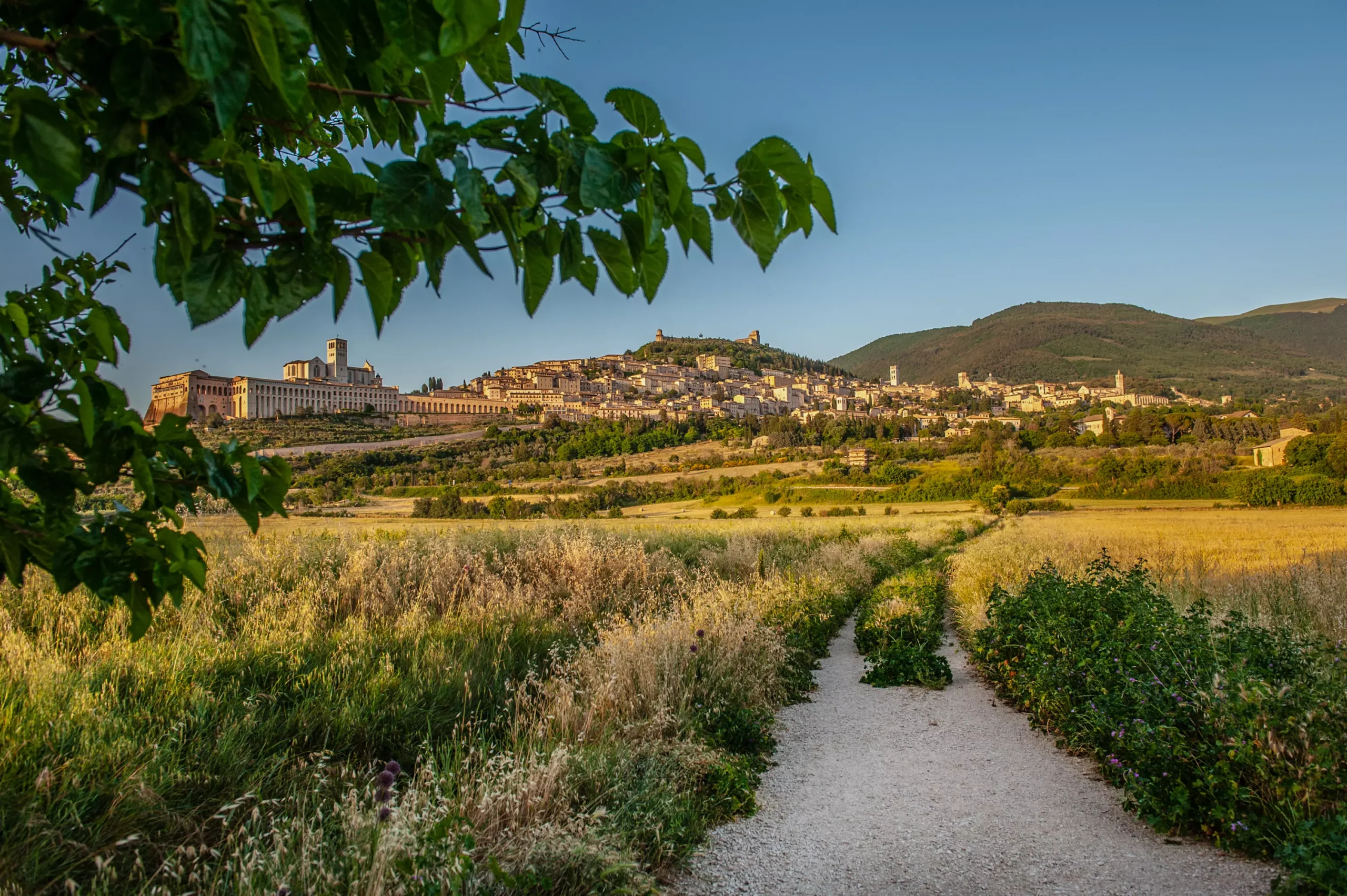 assisi holiday