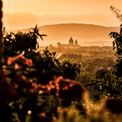 cantina biologica ad assisi