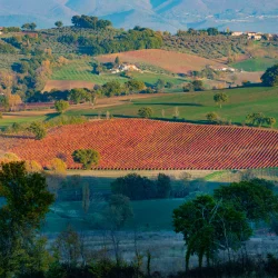 cantine degustazione