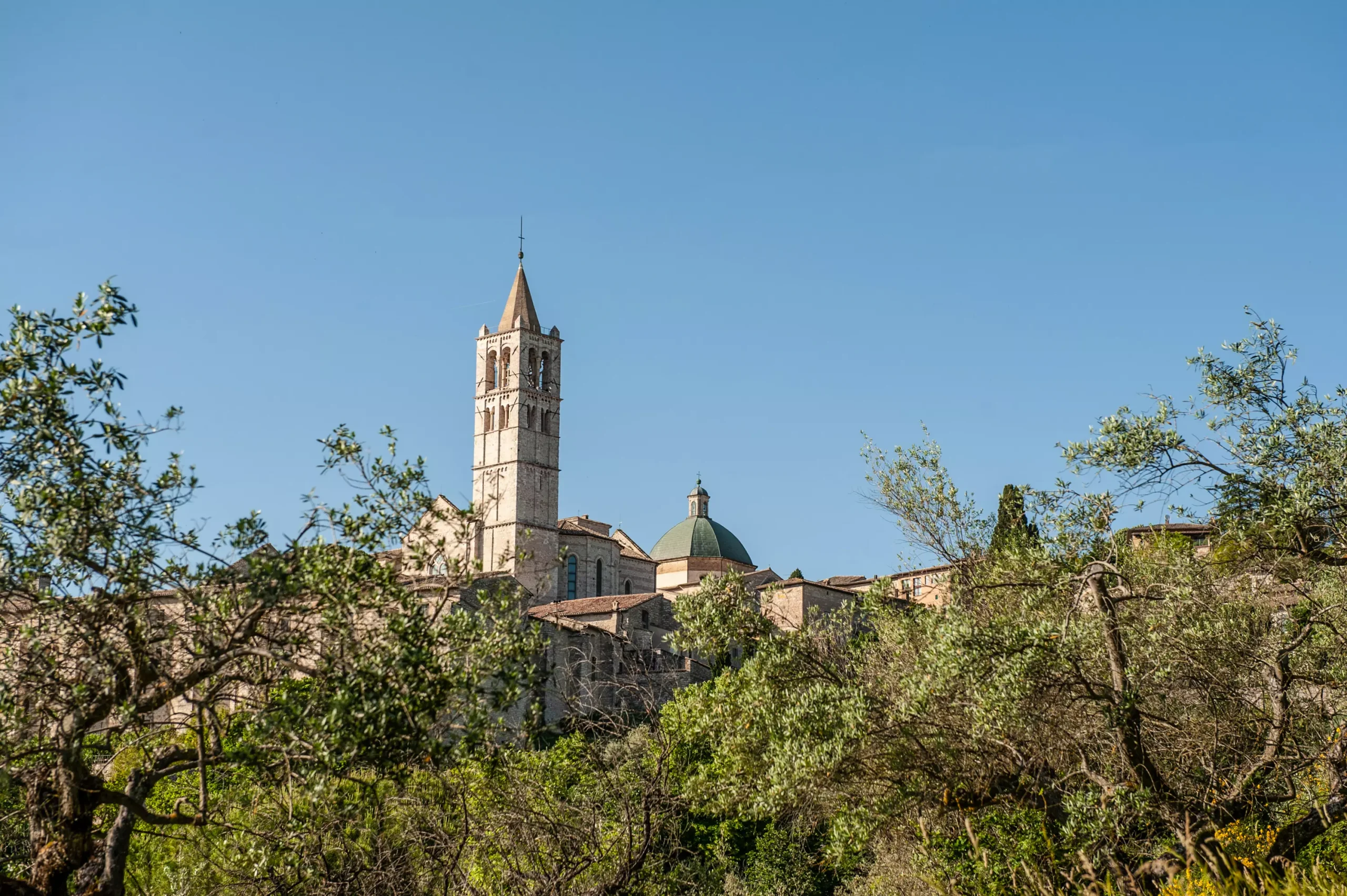 lusso assisi