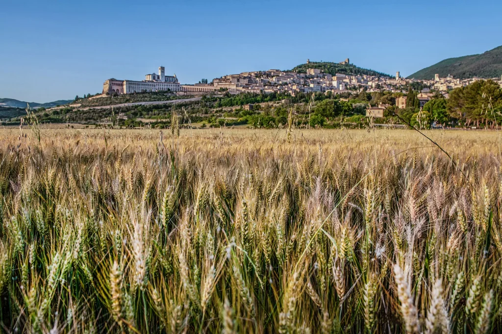 panorama assisi