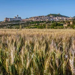 panorama assisi