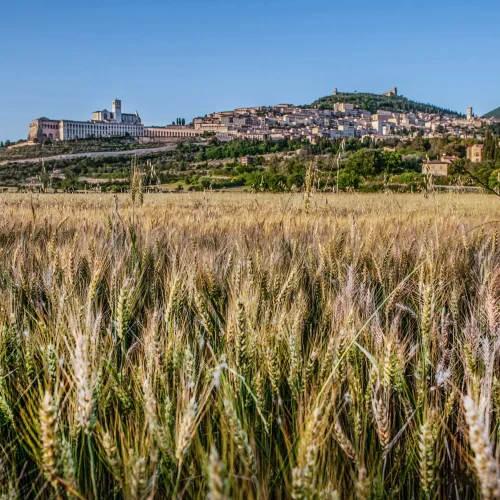 3 giorni ad Assisi con visita e degustazione in cantina