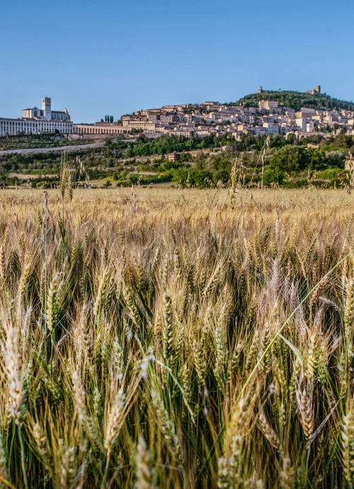 3 giorni ad Assisi con visita e degustazione in cantina