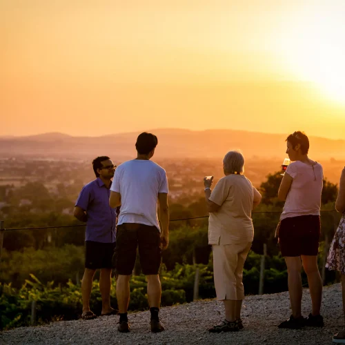 Assisi winery tour and tasting. Discover Umbria wines!