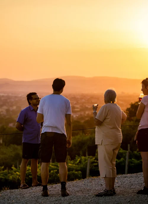 Vignaioli per un giorno. Alla scoperta dei segreti del vino