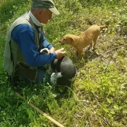 truffle hunt 2