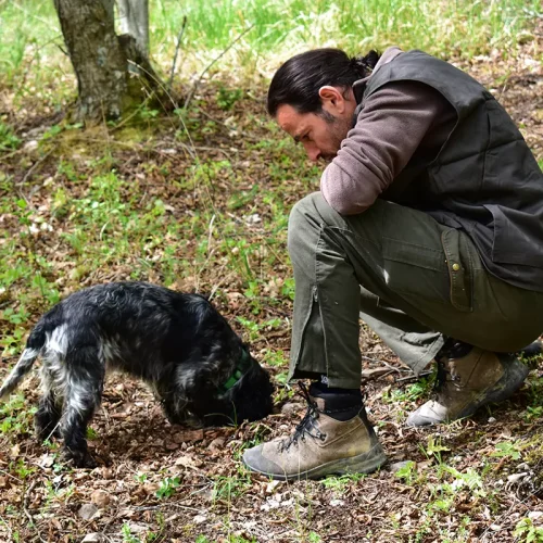 Umbria Truffle Hunt & Bio Lunch near Assisi