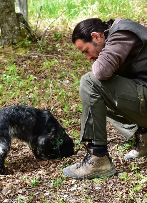 Umbria Truffle Hunt & Bio Lunch near Assisi