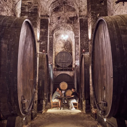 Wine Tour in One of Montepulciano’s Finest Cellars